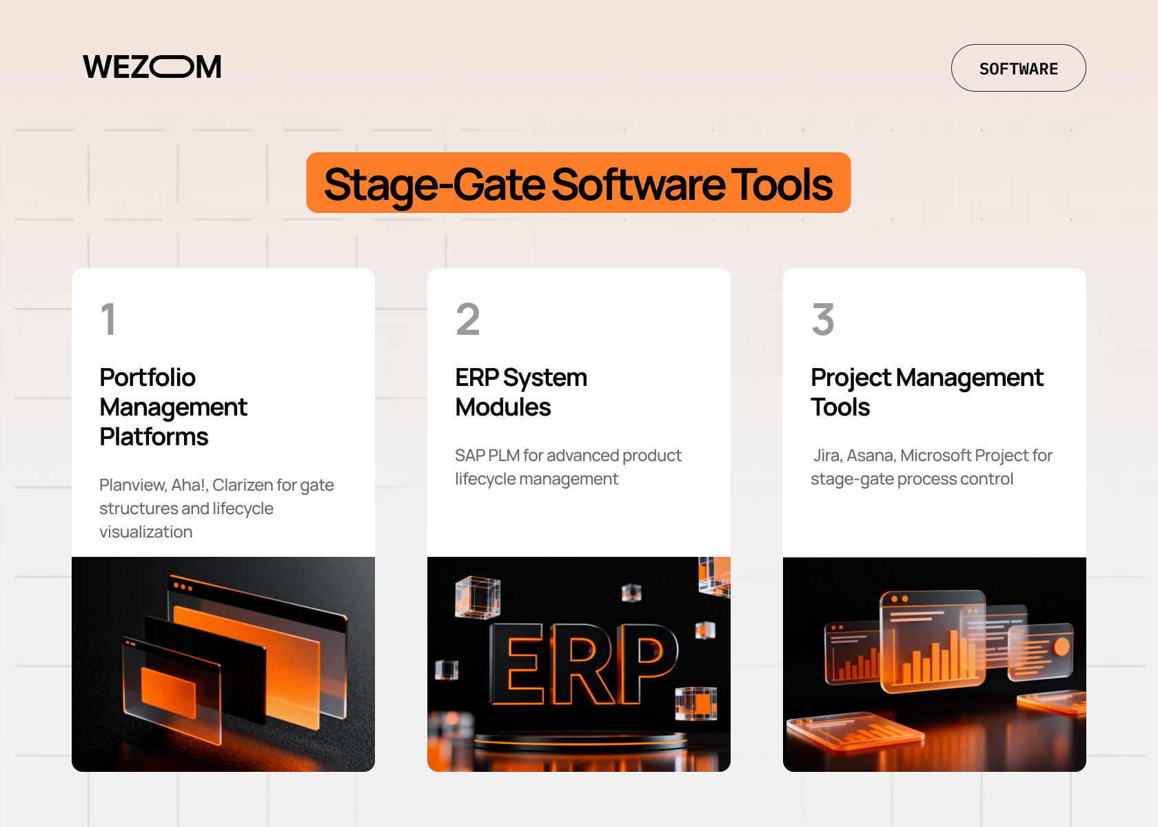 Stage gate software tools including portfolio management platforms, ERP system modules, and project management tools used in stage gate product development process